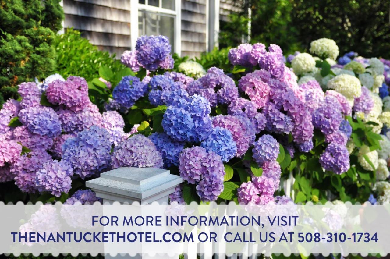 The Nantucket Hotel & Resort ภายนอก รูปภาพ
